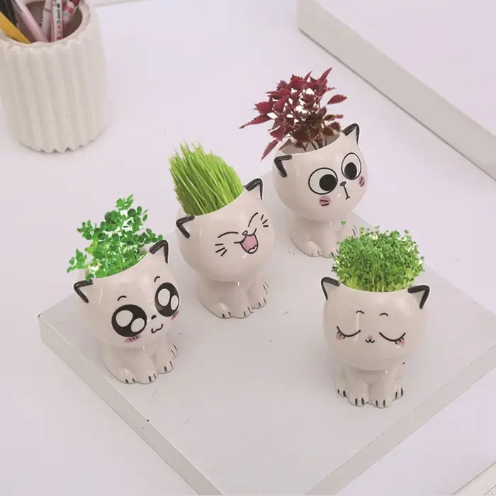 Mini Pot de Fleurs en Céramique en Forme de Chat