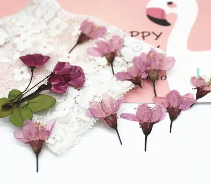 120 pièces de fleurs de cerisier Sakura séchées pressées pour la fabrication de bijoux en résine