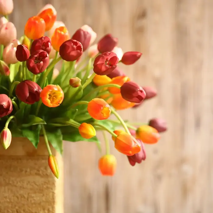 Bouquet de tulipes à cinq têtes hydratantes de haute qualité