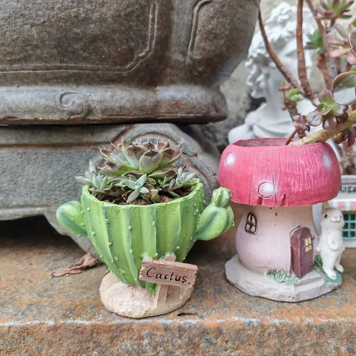 Pot de fleurs pour cactus