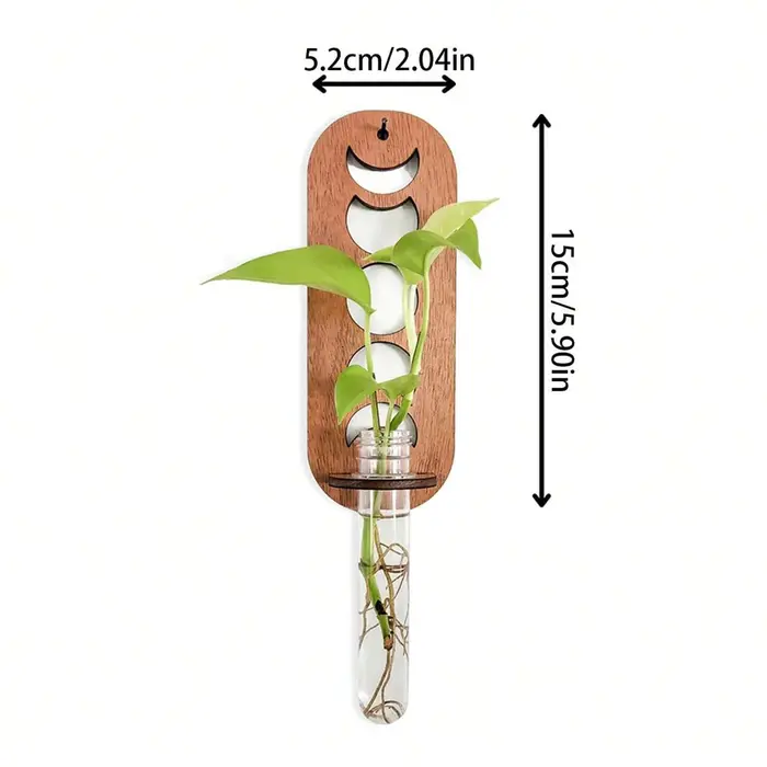 Station de Propagation des plantes