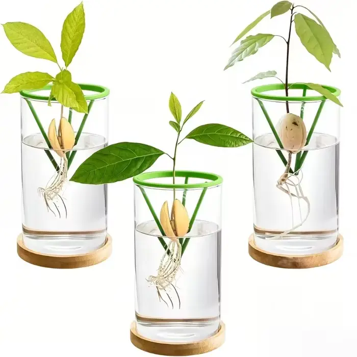 2 pots de support pour graines hydroponiques – Contenants coniques verts