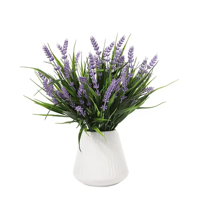 Bouquet de plantes de lavande violette