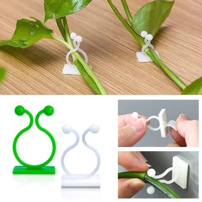 20/40/60 Pièces Crochets universels de fixation murale pour plantes vertes