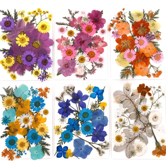 Fleur séchée pour bricolage