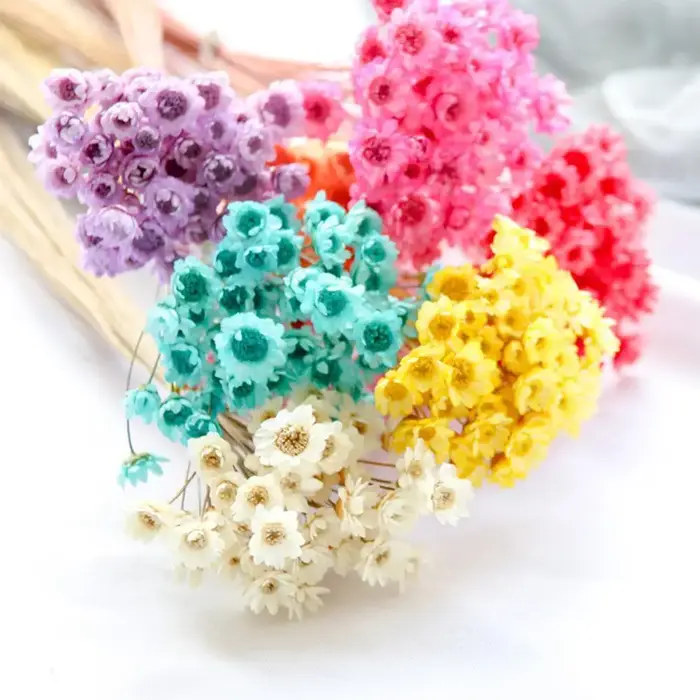 Mini bouquet de fleurs séchées artificielles