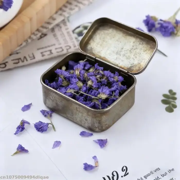 Miosotis bleu naturel en vrac