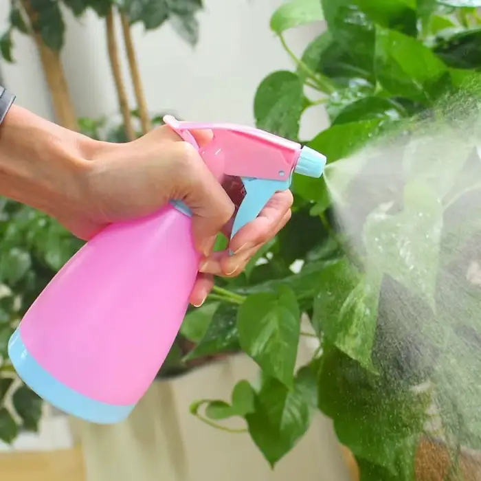Bouteille de pulvérisation d'eau de 500ml, plantes de jardin, arrosage de fleurs, Irrigation domesti