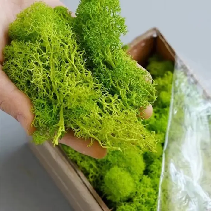 Plantes vertes artificielles de paysage
