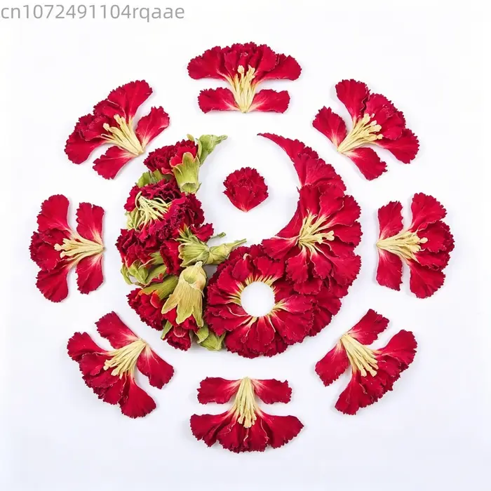 Pétales de carnation naturels séchés de haute qualité pour la fabrication de savons
