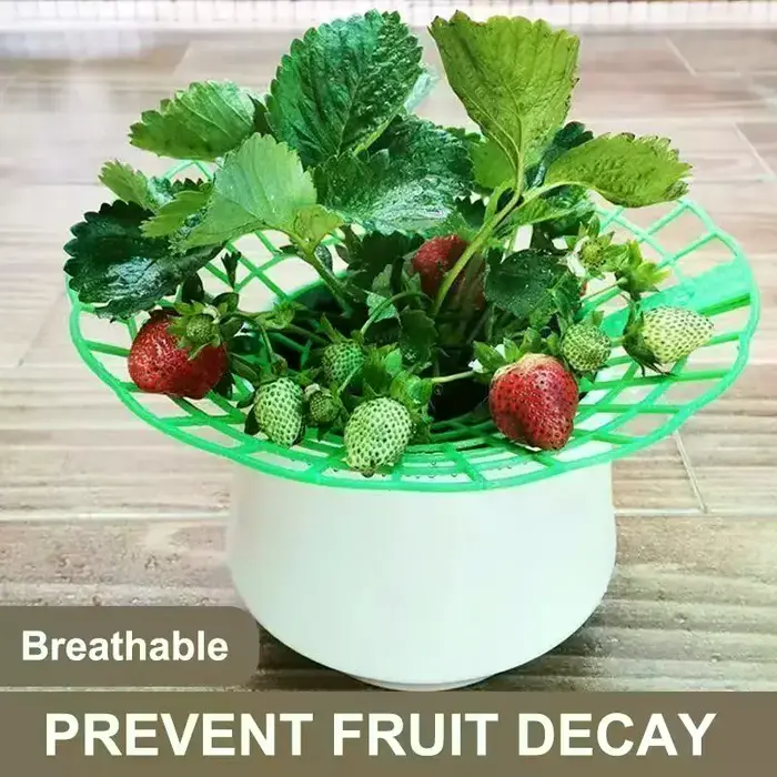 Support pour plantes de fraises avec pieds, support de culture rond en plastique pour garder les baies propres et empêcher la pourriture