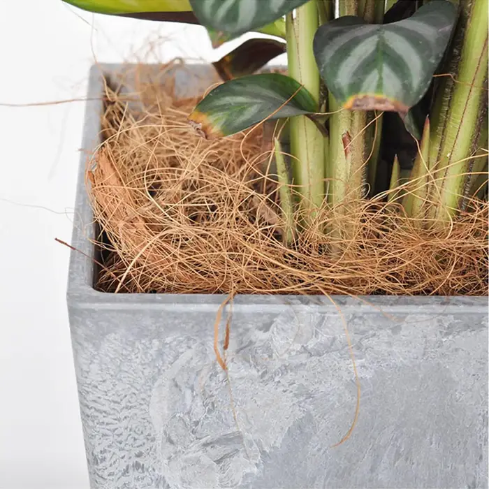 Pot de plantes en Fiber de coco
