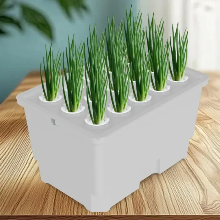Système de surveillance de la croissance des plantes pour boîtes de plantation aquatiques sur comptoirs