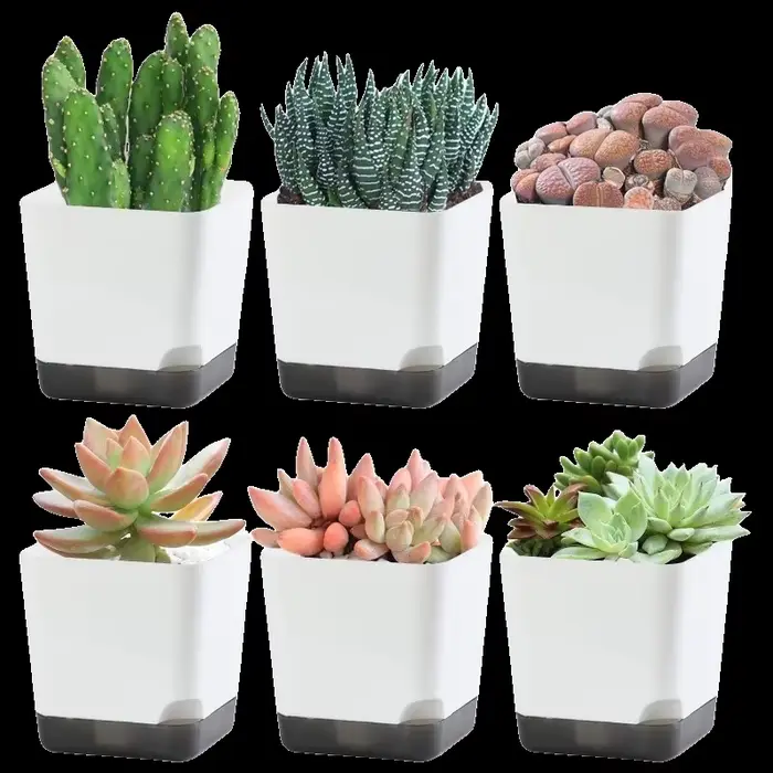 Pots de plantes 5 pièces
