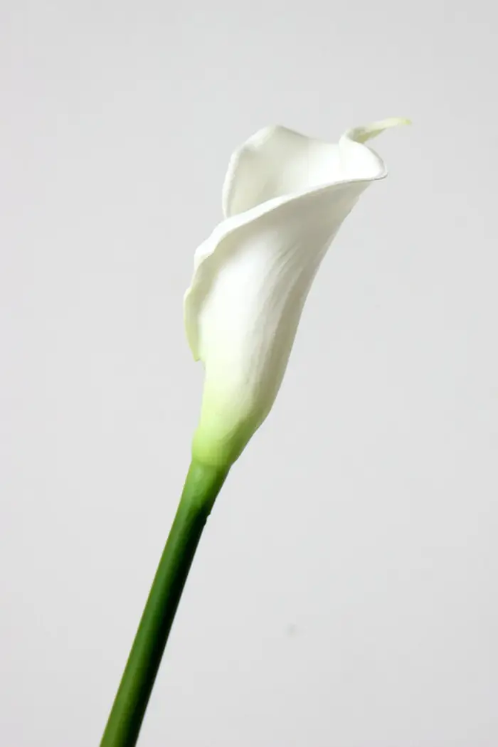 Fleur artificielle de lys calla, tuyau en PU, petit lys calla, accessoires de tir pour mariage, déco