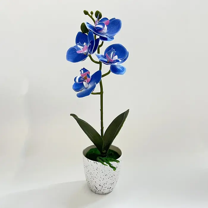 Orchidée Papillon – Ensemble de 4 fleurs en pot – Décoration de salon – Ornement en pot d'orchidée