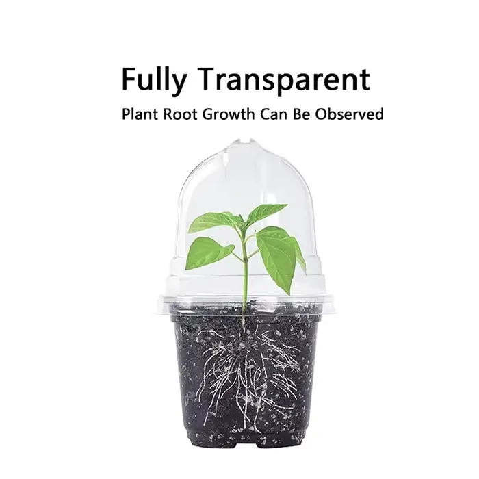 Pots transparents pour pépinière de plantes en PET avec couvercles