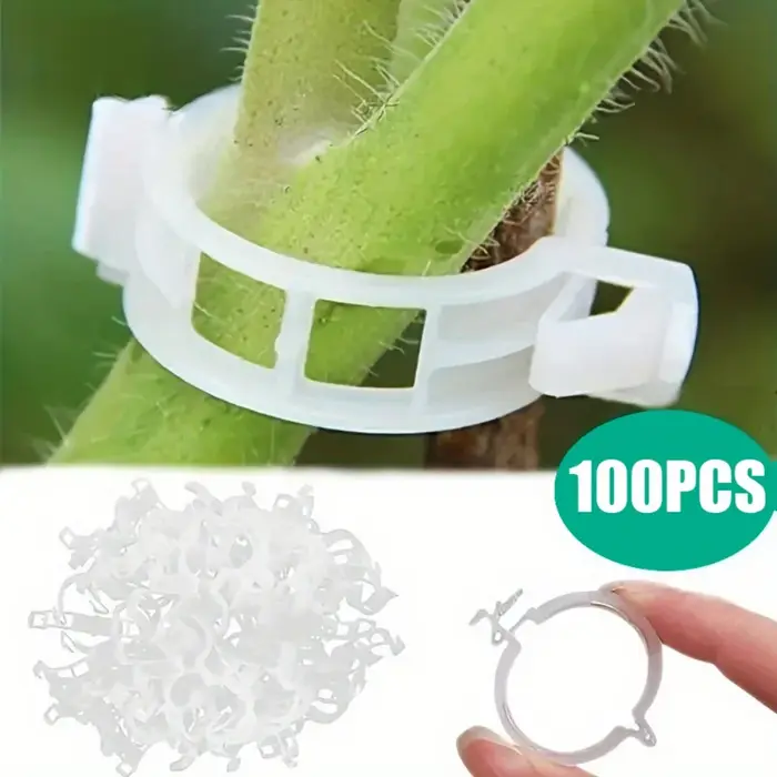 100 attaches pour plantes en plastique