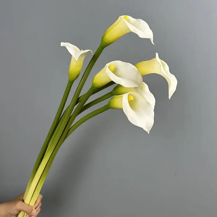 5/6 pièces de fleurs artificielles en PU au toucher réel, type Calla Lily, pour décoration de restaurant, simulation de petites fleurs artificielles violettes de type Taro de mer