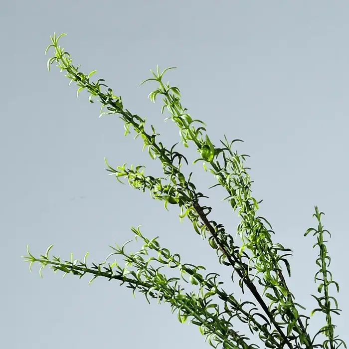 6 pièces de plantes artificielles décoratives pour café