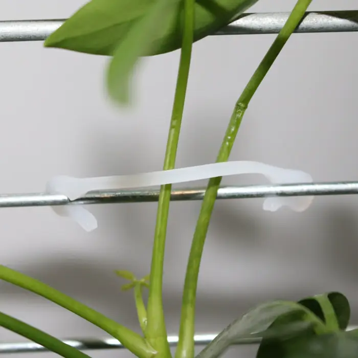 Clip de fixation pour plantes de vigne, 100 pièces, Clip de fixation pour plantes de jardinage, Clip