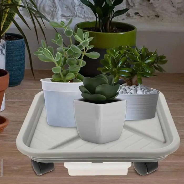 Une cage à boules pour plantes avec quatre roues et un plateau de drainage