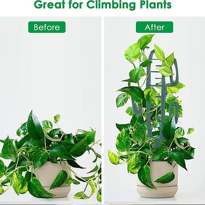 Support d'escalade pour plantes