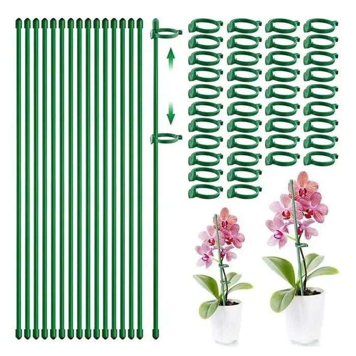 Piquets de Support pour plantes
