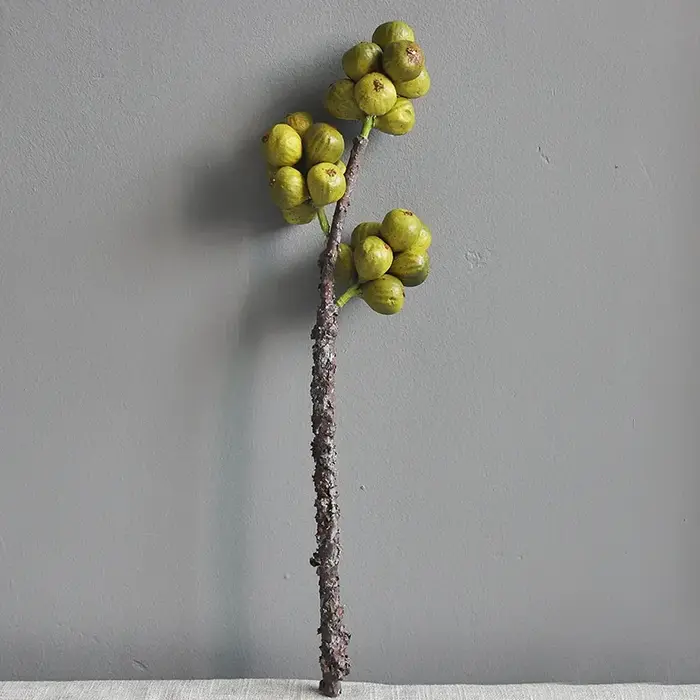 Plante d'arbre artificielle de rejet pour la décoration d'hôtel à la maison, style nordique, décorat