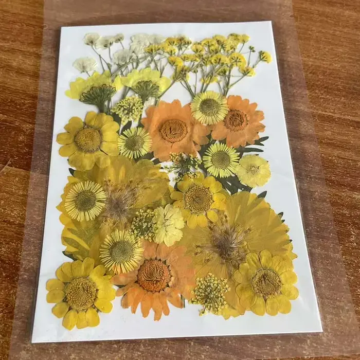 Kit de matériaux combinés de feuilles de fleurs séchées