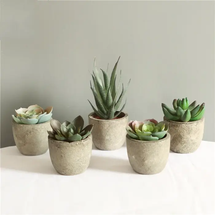Mini plantes artificielles à l'aloe vera