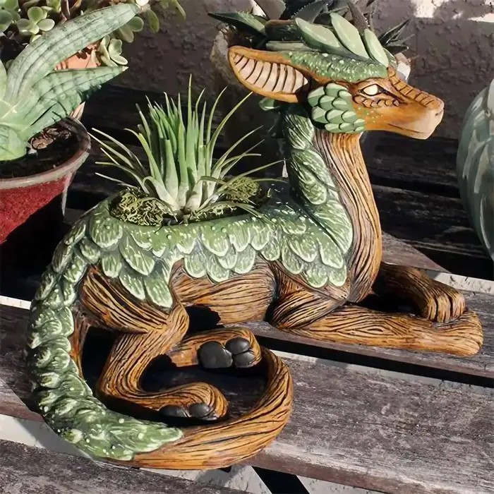 Jardinière succulente d'arbre de Dragon créatif