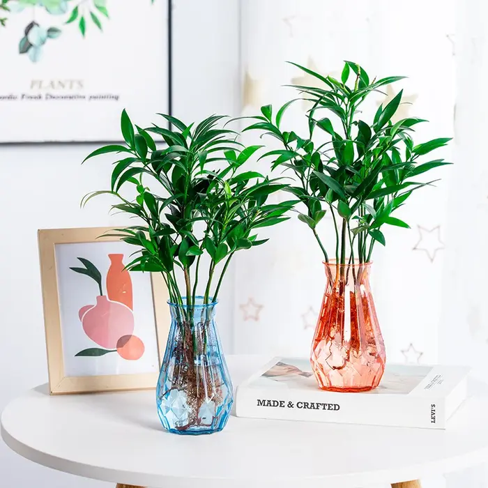 Vase hydroponique en plastique transparent pour plantes vertes