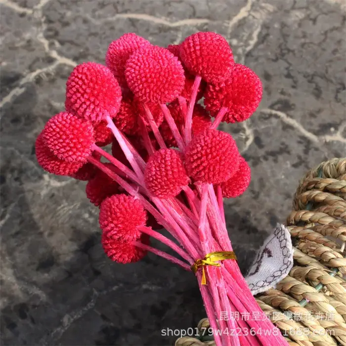 Bouquet de fleurs sèches en boule dorée