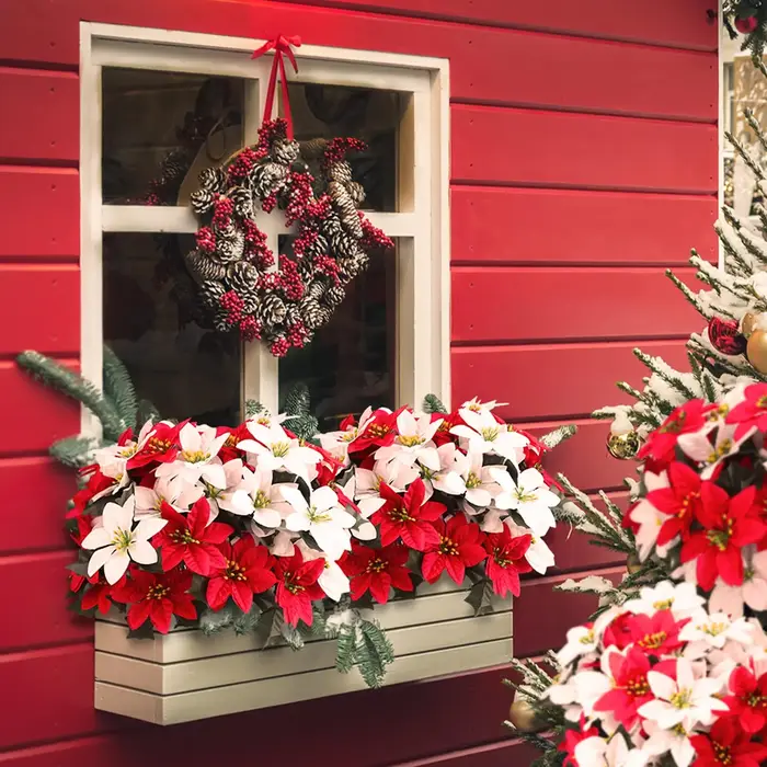 Bouquet de fleurs de Poinsettia artificielles à 5 têtes