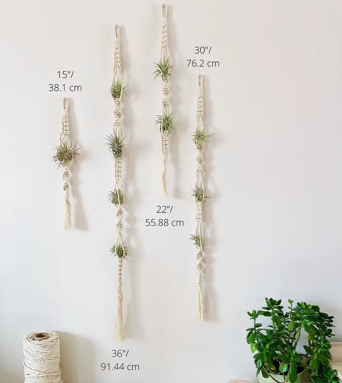 Cintre pour plantes à Air en macramé, support suspendu pour plantes aériennes, affichage d'ananas, j
