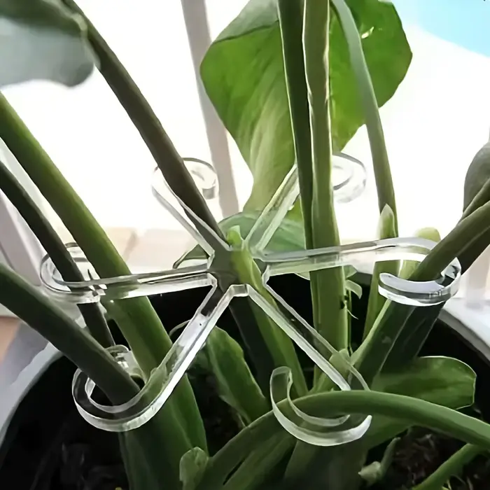 Poteau de Support anti-renversement pour plantes vertes