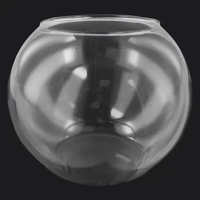 8/10/12 cm Micro paysage Vase en verre plante succulente Terrarium conteneur Pot de fleur