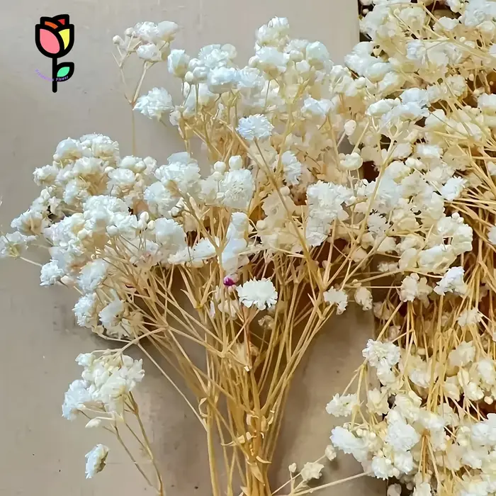 Bouquet de fleurs sèches
