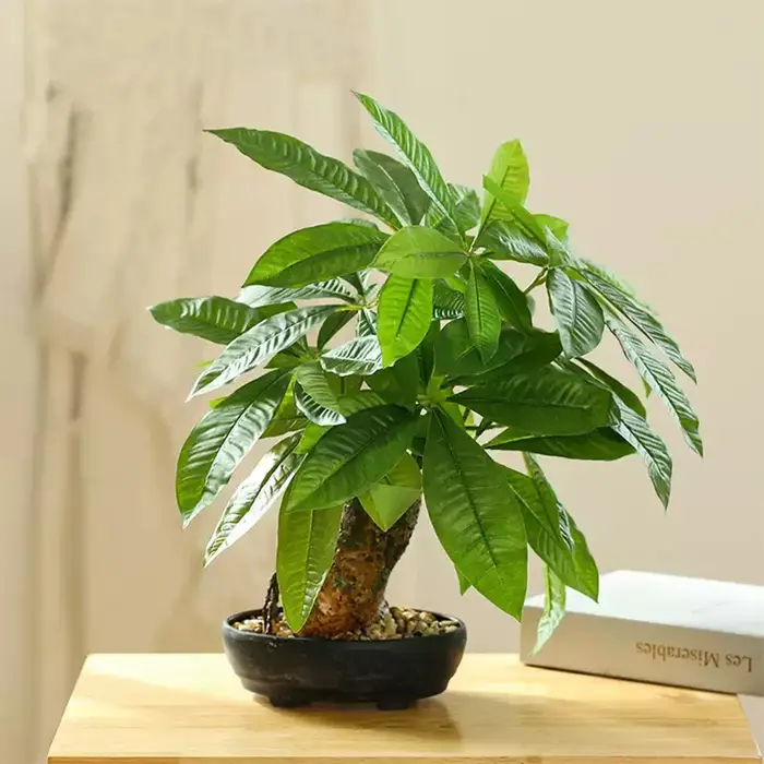 Arbre Monstera artificiel en pot