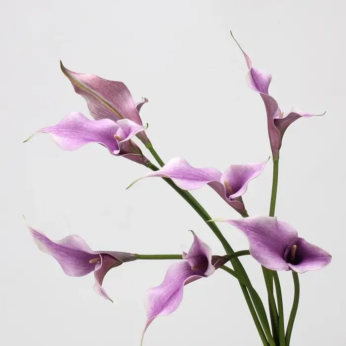 EVA – fleur artificielle de lys Calla