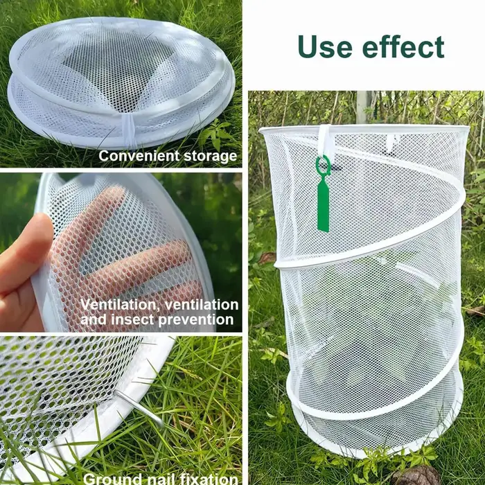 Cloches de protection pour plantes de jardin avec 4 piquets de sol et 6 cartes d'identification