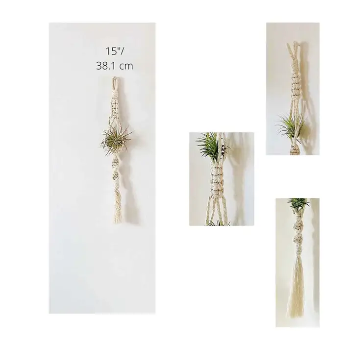 Cintre pour plantes à Air en macramé, support suspendu pour plantes aériennes, affichage d'ananas, j