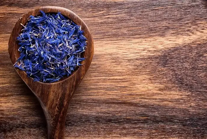 Pétales de bleuet naturel de qualité supérieure – Polyvalents pour les mariages