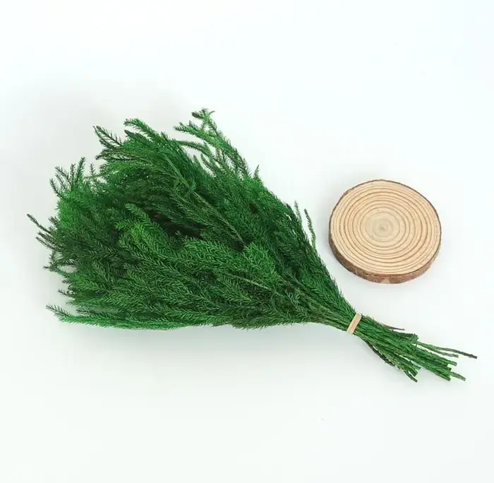 Lot de 2 branches de fleurs préservées | Branche de fleur Lycopodium japonicum pour Arrangement flor