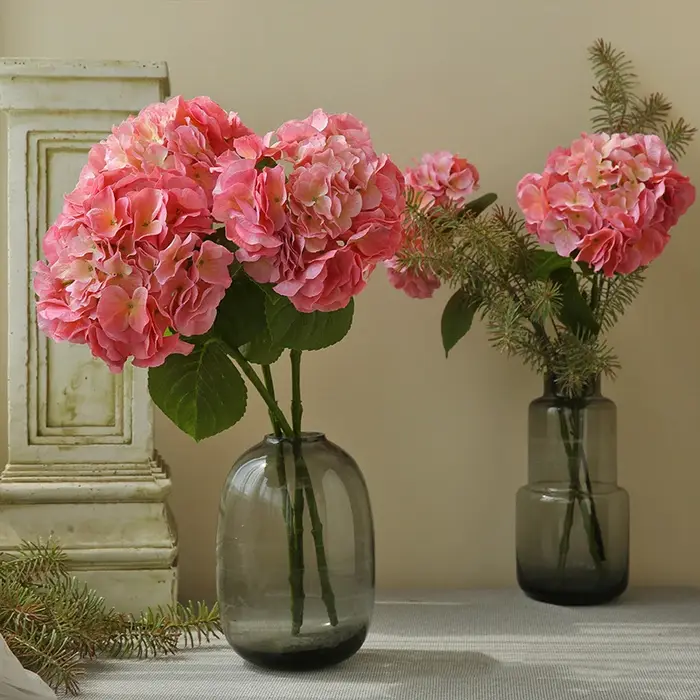 Grandes fleurs d'hortensia hydratantes au toucher
