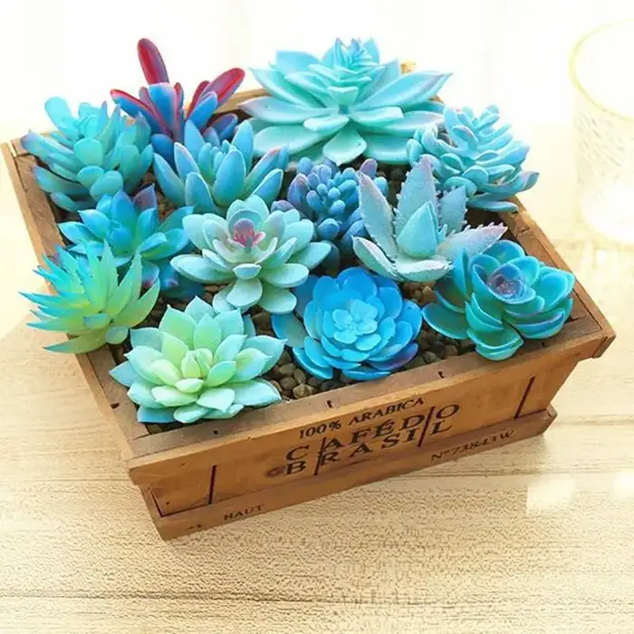 Plantes succulentes artificielles bleues, pour décoration de jardin de maison, plantes de mariage, A