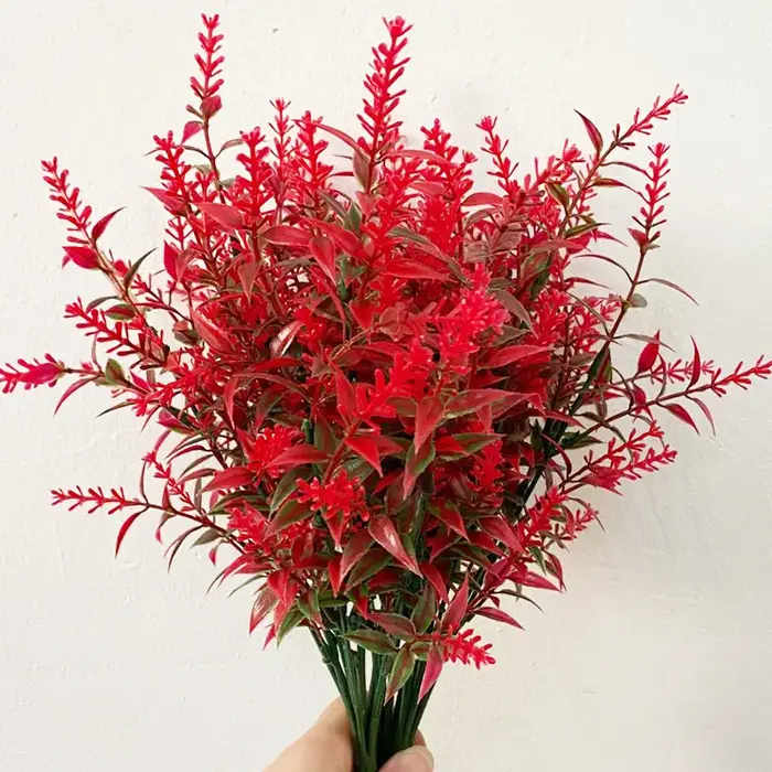 Plante verte lavande, bouquet d'herbe d'eau
