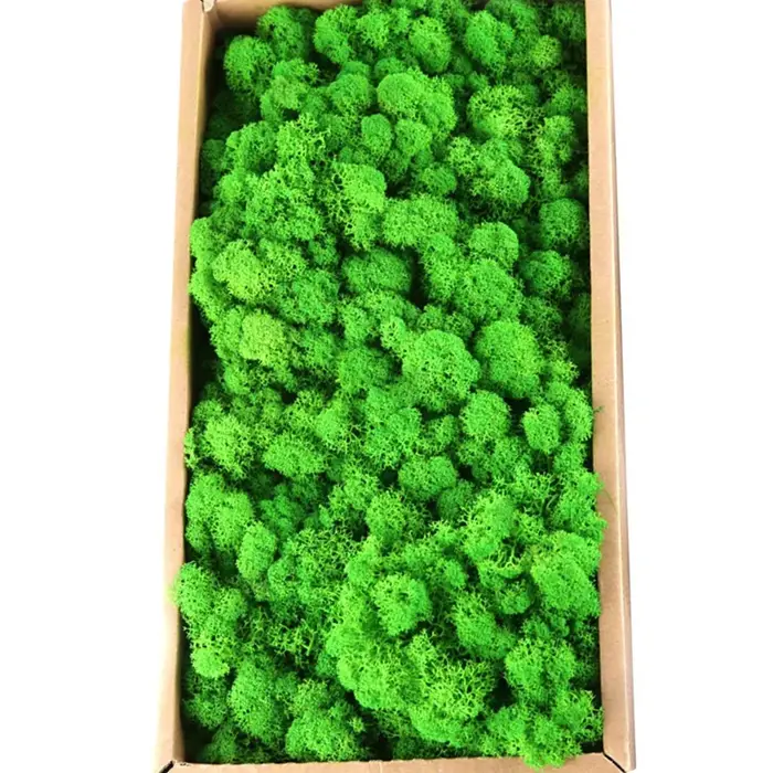 Plantes artificielles en mousse verte