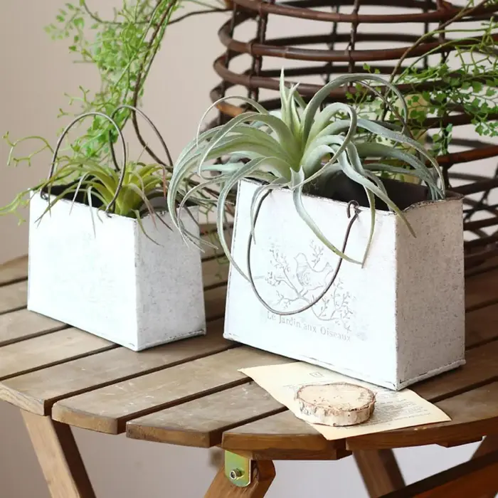 Jardinière à seau plat Vintage